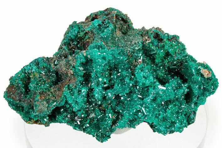 Sparkling Dioptase Crystal Cluster - Congo #306110